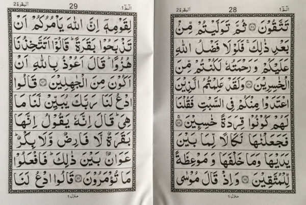 Para Set Holy Quran Large Bold Script 9 Lines 30 Sections BW - Image 5